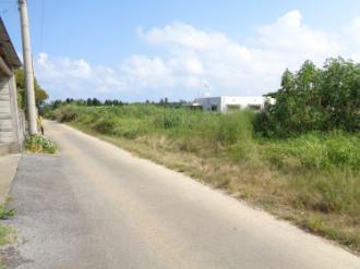 今帰仁村字今泊