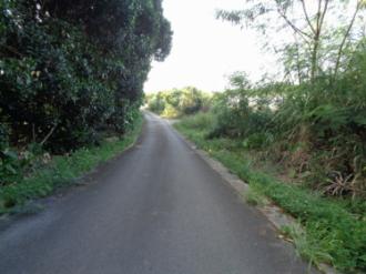 今帰仁村字崎山