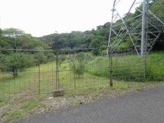 大宜味村字饒波