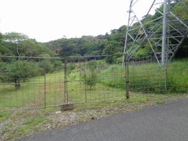 大宜味村字饒波