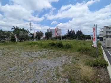 名護市宇茂佐の森